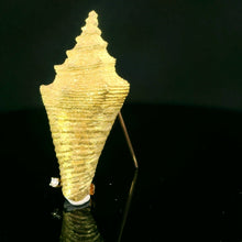 Cargar imagen en el visor de la galería, Colección de conchas marinas, Caracola