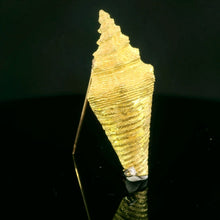 Cargar imagen en el visor de la galería, Colección de conchas marinas, Caracola