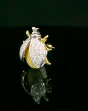 Load image into Gallery viewer, Ladybug, 30 Diamonds