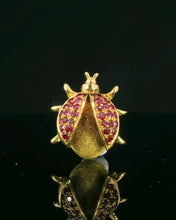 Load image into Gallery viewer, Ladybug, 30 Rubies