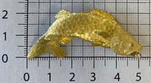 Cargar imagen en el visor de la galería, Pez, lucio eslabonado (Esox niger)