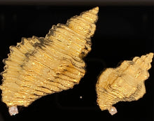 Cargar imagen en el visor de la galería, gold animal pin brooch jewelry Triton seashell