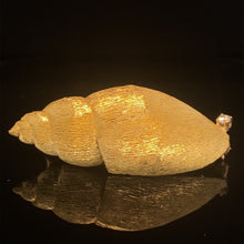 Load image into Gallery viewer, gold pin brooch jewelry shell dogwhelk dogwhinkle