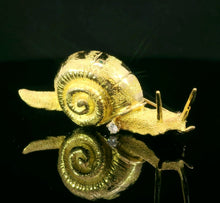 Load image into Gallery viewer, Snail
