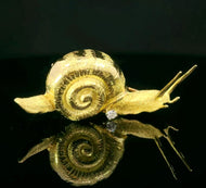Snail