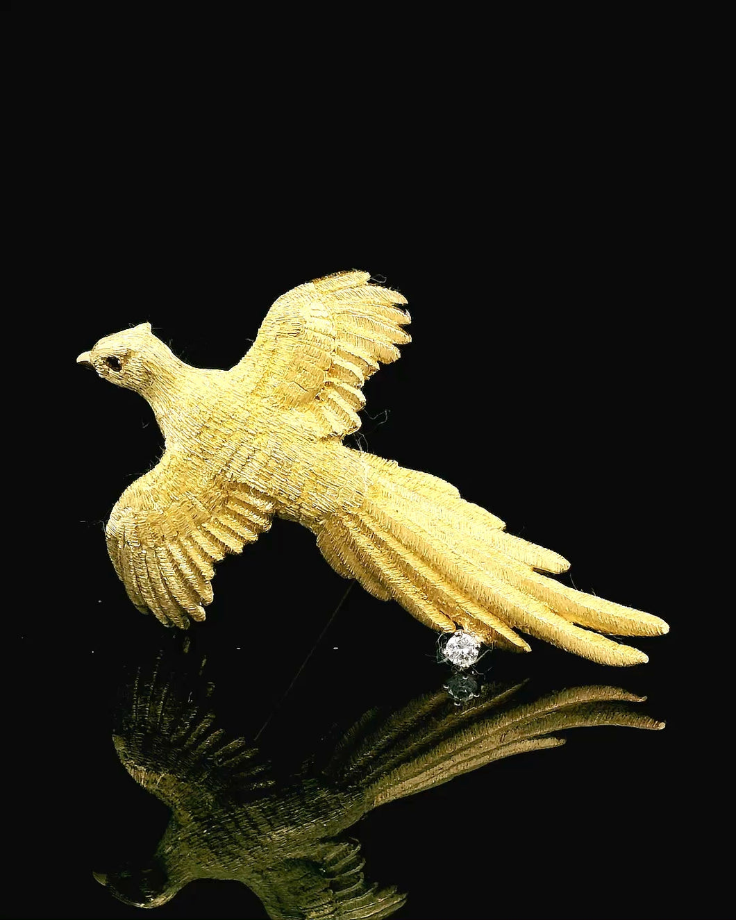 Bird, flying Pheasant