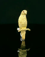Bird, small Parrot