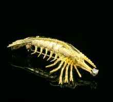 Load image into Gallery viewer, Fish, Shrimp
