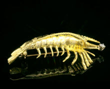 Load image into Gallery viewer, Fish, Shrimp
