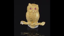 Load and play video in Gallery viewer, Gold animal pin brooch owl
