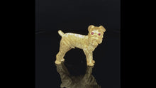 Load and play video in Gallery viewer, Dog Gold animal pin brooch Brussels griffon
