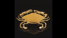 Load and play video in Gallery viewer, gold fish pin brooch jewelry crab 
