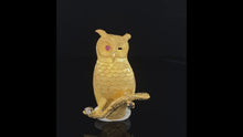 Load and play video in Gallery viewer, animal pin brooch gold owl winking
