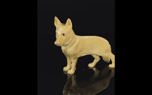 Load and play video in Gallery viewer, Dog, German Shepherd
