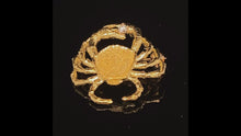 Load and play video in Gallery viewer, gold fish pin brooch jewelry crab
