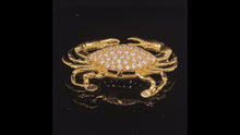 Load and play video in Gallery viewer, gold fish pin brooch jewelry crab
