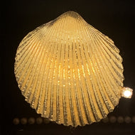 gold pin brooch jewelry cockle seashell
