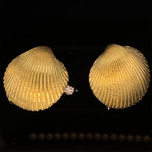 Load image into Gallery viewer, Seashell, small Cockle Shell with One Diamond
