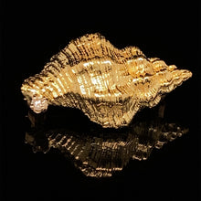 Load image into Gallery viewer, gold animal pin brooch jewelry Triton seashell
