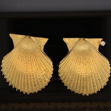 Load image into Gallery viewer, Seashell, large Scallop
