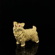 Dog, Norwich Terrier