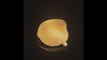 Load and play video in Gallery viewer, gold pin brooch jewelry cockle seashell
