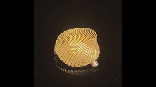 gold pin brooch jewelry cockle seashell