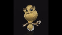 Load and play video in Gallery viewer, Gold animal pin brooch owl

