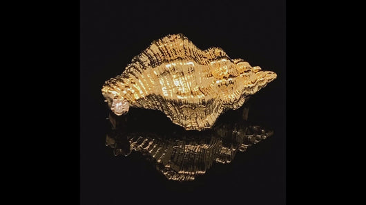 gold animal pin brooch jewelry Triton seashell
