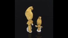Load and play video in Gallery viewer, GOLD animal parrot pin brooch

