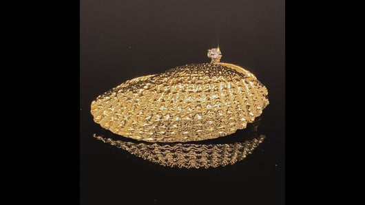gold seashell angel wing pin brooch jewelry